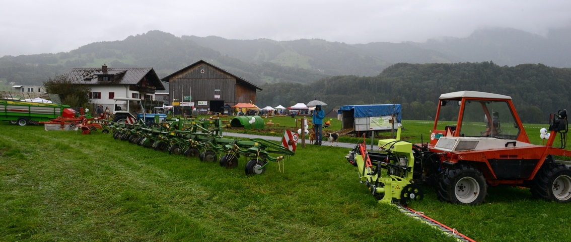 Ein Traktor und verschiedene Anhänger auf einer Wiese aufgelistet.