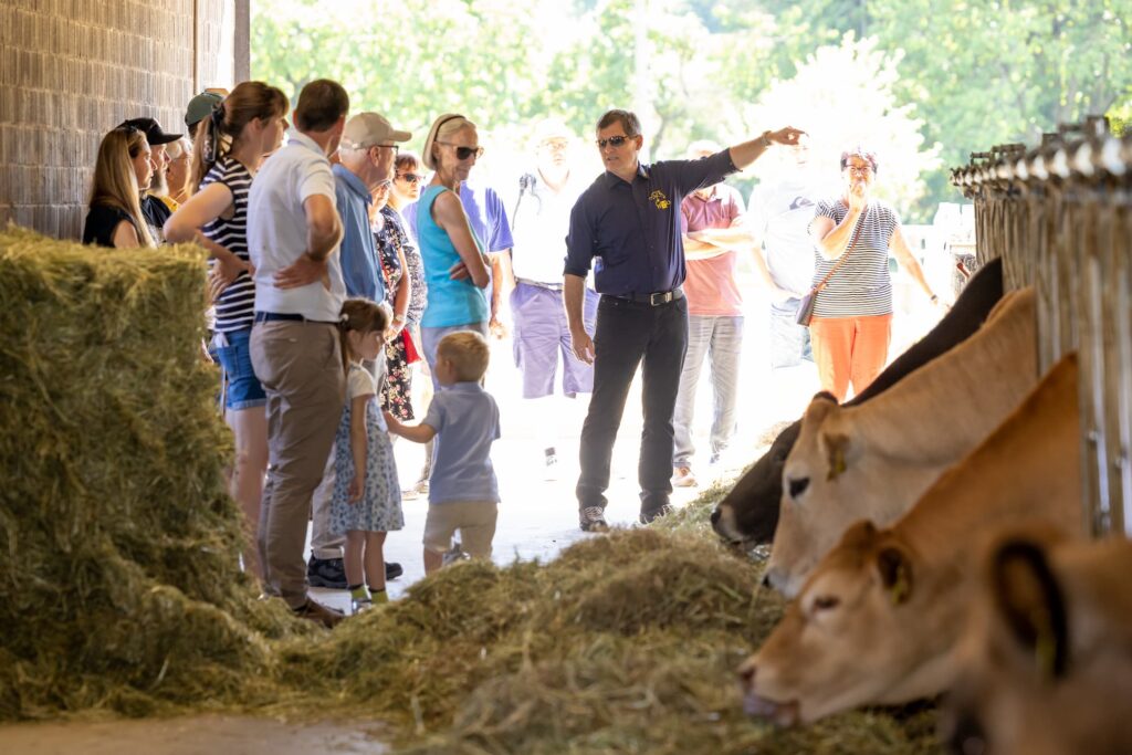Un contadino spiega qualcosa ai visitatori. Nello stesso momento sono tutti in piedi nella stalla e le mucche mangiano il fieno.